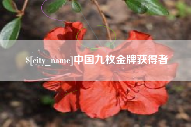 武威中国九枚金牌获得者