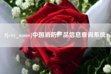 武威中国消防产品信息查询系统1