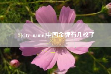 武威中国金牌有几枚了