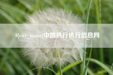武威中国执行执行信息网