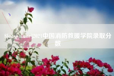武威2021中国消防救援学院录取分数