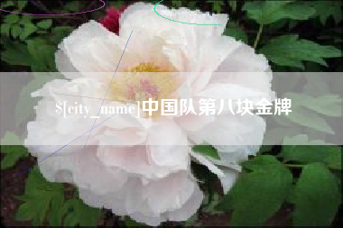 武威中国队第八块金牌
