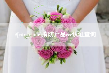 武威消防产品ccc认证查询