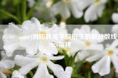 武威消防救援学院招生录取分数线2020福建