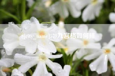 武威579九宫格如何排