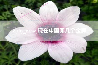 武威现在中国哪几个金牌
