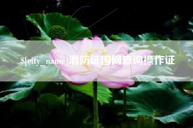 武威消防证国网查询操作证