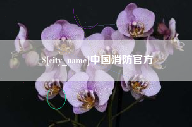 武威中国消防官方