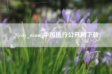 武威中国执行公开网下载
