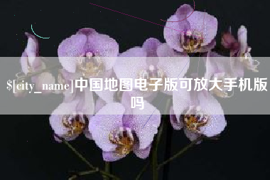 武威中国地图电子版可放大手机版吗