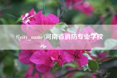 武威河南省消防专业学校