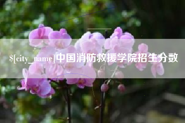 武威中国消防救援学院招生分数
