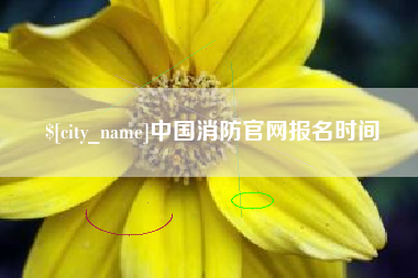 武威中国消防官网报名时间