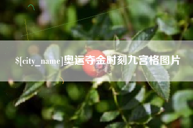 武威奥运夺金时刻九宫格图片