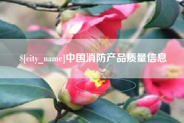 武威中国消防产品质量信息