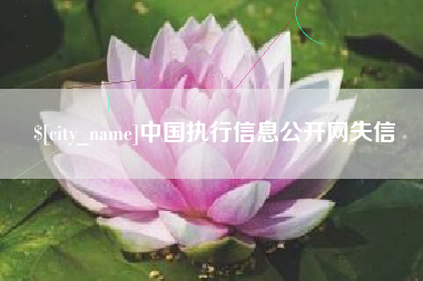 武威中国执行信息公开网失信