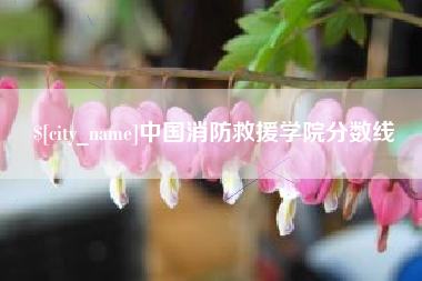 武威中国消防救援学院分数线