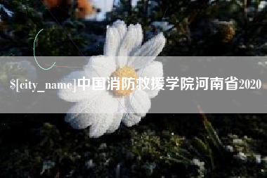 武威中国消防救援学院河南省2020
